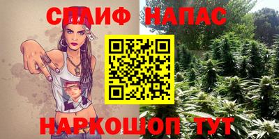 не бодяженный Гатчина