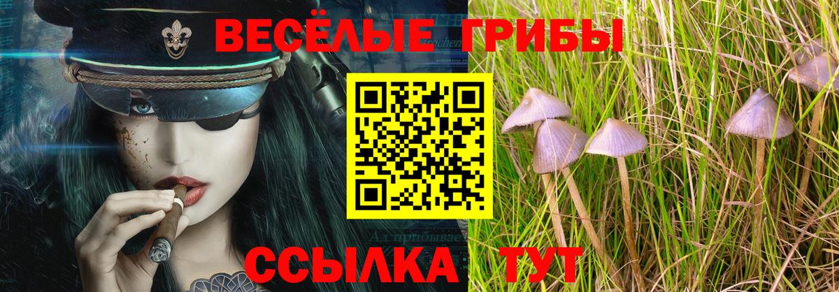 Псилоцибиновые грибы ЛСД Нарткала