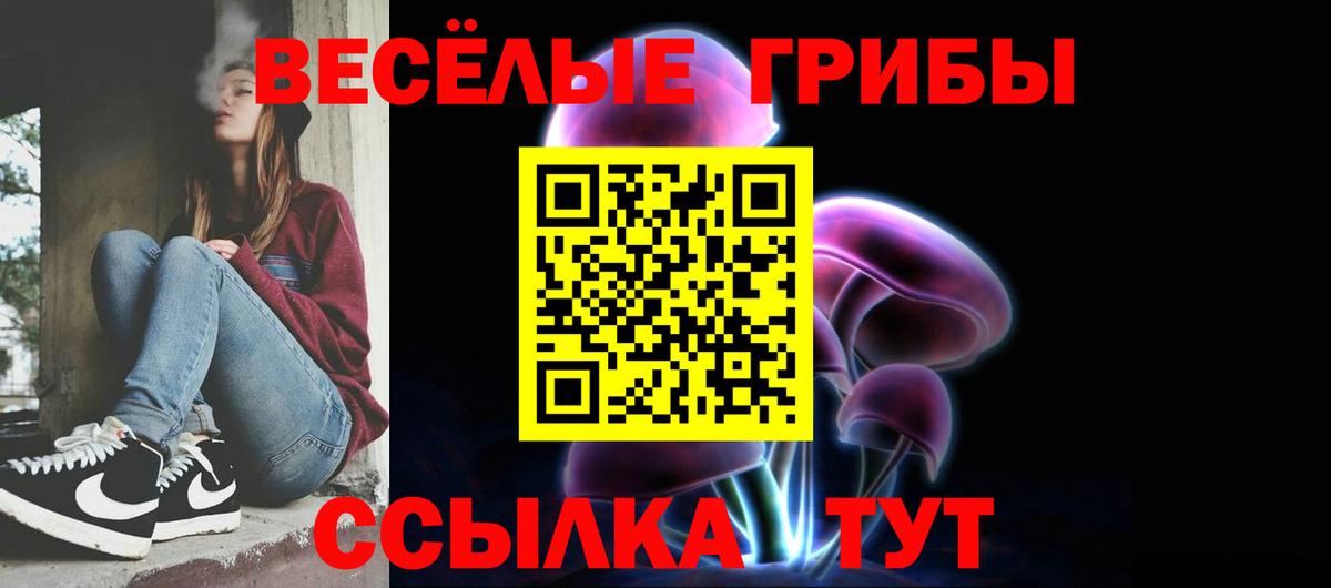 Галлюциногенные грибы MAGIC MUSHROOMS  Псилоцибиновые грибы MAGIC MUSHROOMS  Вход с VPN  Нарткала 